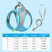 Load image into Gallery viewer, Pet Things Cat Accessories Cute Adjustable Cat Collar and Leash Set for Walking Safe Reflective Soft Comfortable Vest