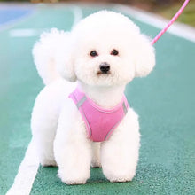 Load image into Gallery viewer, Harness for a Dog Harness Guard Harnesses for Dogs Pet Puppy Big the Small Breed Medium Anatomical Large Breeds Goods Product