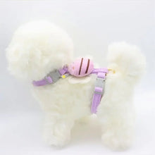 Load image into Gallery viewer, Dog Accessories Bag For Dogs Leash Supplies Strap Harness Pets Pet Sling Small Home. Collar Breed Articles Goods Chest Products