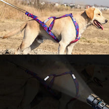 Load image into Gallery viewer, Pulling Harness For Dogs Puppy Harness Adjustable Reflective Dog Harness Outdoor Dog Rope Flexible Dog Training Rope For