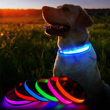Load image into Gallery viewer, MASBRILL LED Dog Collar Luminous Pet Supplies Dog Collar Waterpoof Safety Glow Necklace Flashing Lighting Up Collars Accessories