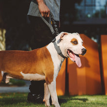 Load image into Gallery viewer, Dog Collar Durable Tactical Pet Collar Adjustable Nylon Collars Medium Large Dog German Shepherd Training Collar s Accessories