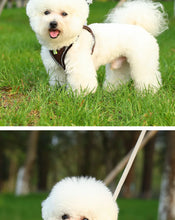 Load image into Gallery viewer, Harness for a Dog Harness Guard Harnesses for Dogs Pet Puppy Big the Small Breed Medium Anatomical Large Breeds Goods Product