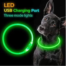 Load image into Gallery viewer, Luminous Dog Collar Light Charge Cat Necklace, Led Fashion Flashing DIY Glowing Safety Collar for Dogs Nighttime Pet Accessorie