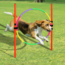 Load image into Gallery viewer, Dog Agility Equipment Portable Pet Training Equipments Dogs Jumping Training Tool Outdoor Dogs Running Stake Sports Stakes Pole