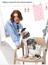 Load image into Gallery viewer, Bags for Dogs Poop Dispenser Outdoor Portable Pet Poop Bags Dog Cat Cleaning Supplies Accessories Pet Droppings Garbage Bag