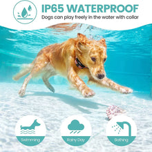 Load image into Gallery viewer, 800m Digital Dog Training Collar Waterproof Rechargeable Remote Control Pet with LCD Display for All Size Shock Vibration Sound