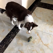 Load image into Gallery viewer, Dog rubber rugby, soft spines, teeth grinding, bite resistance, squeezing, vocalization accompanying large and medium-sized dogs