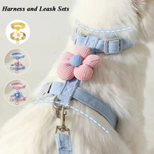 Load image into Gallery viewer, Cat Harness and Leash Sets Adjustable Dog Harness for Small Dog Leash Breashable Pet Harness Out Walking Dog Strap