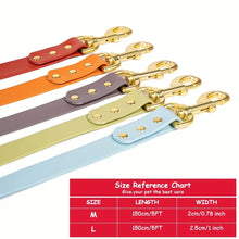 Load image into Gallery viewer, Dog Leash for Small Medium Large Dogs Walking,Easy to Use, Lightweight & Durable,Training Leash for Control Safety Training