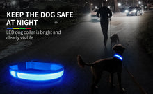 Load image into Gallery viewer, MASBRILL LED Dog Collar Luminous Pet Supplies Dog Collar Waterpoof Safety Glow Necklace Flashing Lighting Up Collars Accessories