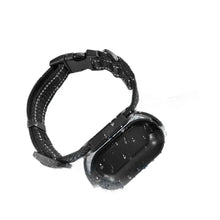 Load image into Gallery viewer, Factory Professional Waterproof Wearable Mini 1080P HD Cat Dog Pet Collar Action Sport Camera on Dog Cat Collar