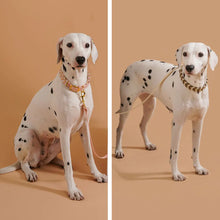 Load image into Gallery viewer, Dog Fashion Collar For Ladies Handmade Design Pet Colorful Neck Ring Small Medium and Large Dogs Lead-collar Wear Supplies