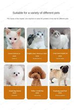 Load image into Gallery viewer, Household Pet Drying Box Water Blower Blowing Box Cat & Dog Dryer Intelligent Drying Box Sterilizable Dog Dryer Machine