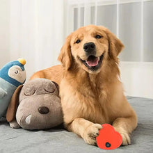 Load image into Gallery viewer, Heartbeat Simulator Soothing Heartbeat Puppy Toy Realistic Portable Dog Heartbeat Toy Calming Puppy Toys Durable Dog Toy