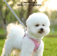 Load image into Gallery viewer, Dog Harness Small Breed Harness for A Small Dog Large Dog Harness Harnait Chest GXQ03