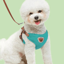 Load image into Gallery viewer, Dog Harness Leash for Medium Small Dogs - Comfortable Pet Chest Harness, Durable Walking Rope, Adjustable, Ideal for Daily Walks