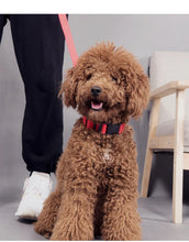 Load image into Gallery viewer, Dog Collar LED Light Electronic Night Safety Anti-Lost Nylon Adjustable Luminous Glowing Collar For Dogs Cats Pet Products Xs-XL