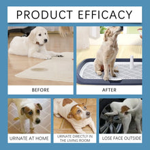 Load image into Gallery viewer, Dog Toilet Training Spray Dog Potty Training Spray Cats Kitten Outdoor Urine Poops Stool Location Helps Puppies Toilet Inducer