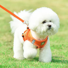 Load image into Gallery viewer, Dog Harness Small Breed Harness for A Small Dog Large Dog Harness Harnait Chest GXQ03