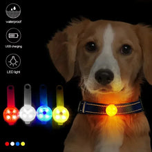 Load image into Gallery viewer, Dog collar, loss collar, weatherproof LED safety light, USB rechargeable LED light collar, dog, cat, pet