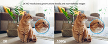Load image into Gallery viewer, YI 2pcs Pro Camera Kit 2K 3MP, AI-Based Smart Home 2.4G Baby Cam Pet Video Record Surveillance Enhanced Night Vision