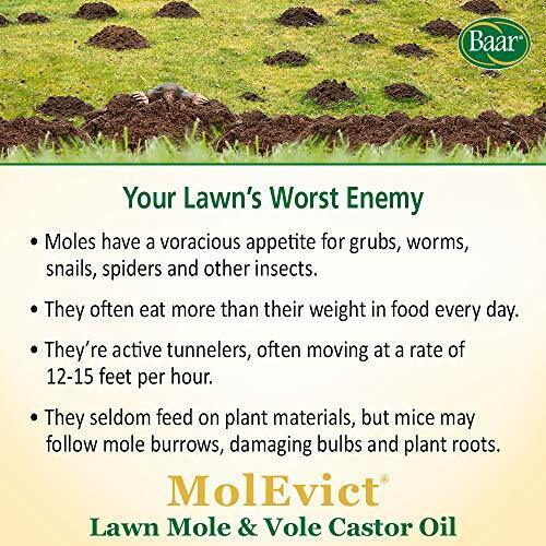 Baar Lawn Mole Castor Oil Molevict for Moles and Voles 32 Oz