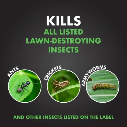 SPECTRACIDE Triazicide Insect Killer for Lawns Granules 20lb Bag