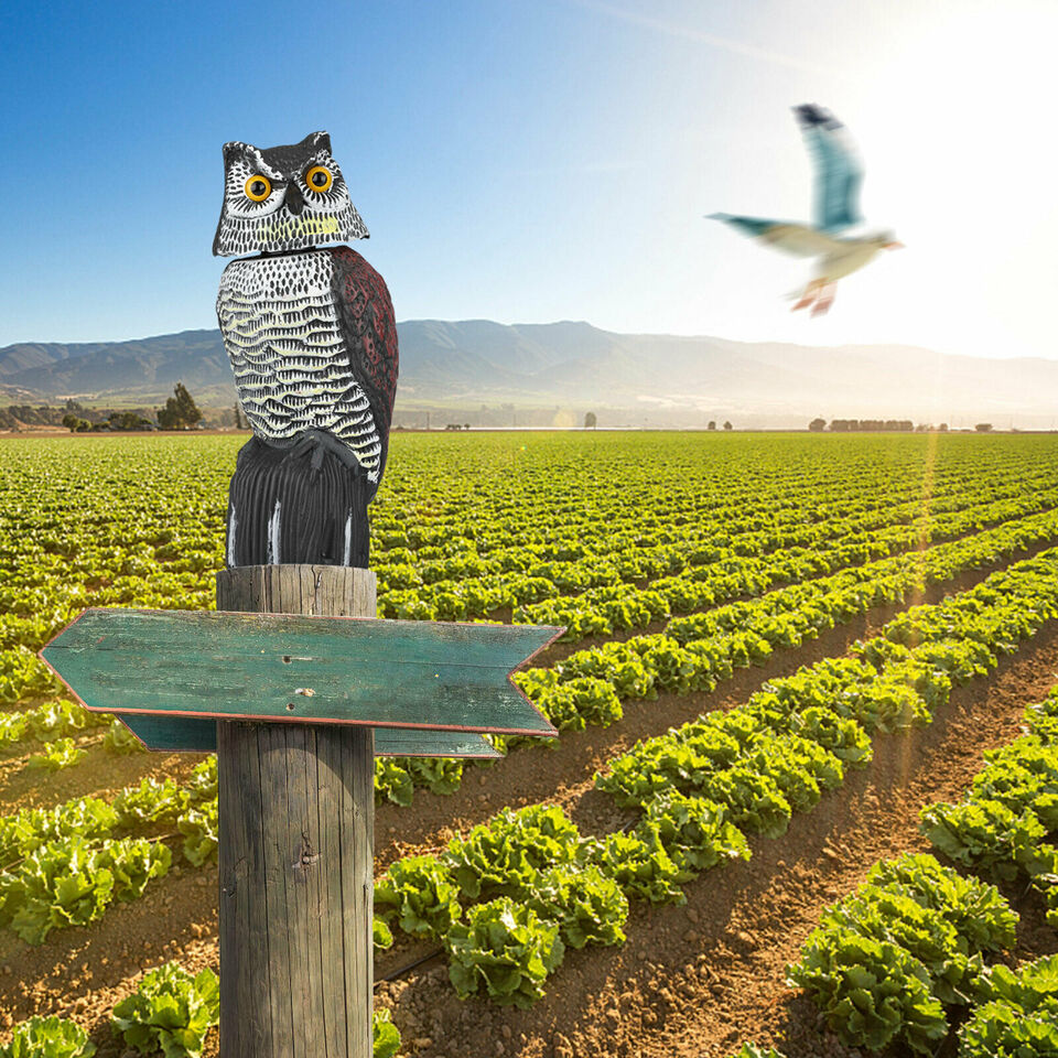 Large head owl decoy Protect garden Yard Pest Repellent Bird Scarecrow outdoor