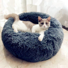 Load image into Gallery viewer, Anti-Anxiety Calming Cat Donut Bed Floppy Fishie Toy