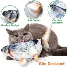 Load image into Gallery viewer, Floppy Fishie Electric Cat Fish Toy Floppy Fishie Toy