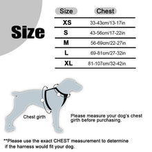 Load image into Gallery viewer, 6