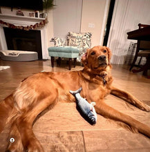 Load image into Gallery viewer, Floppy Fish Dog Toy