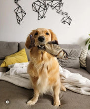 Load image into Gallery viewer, Floppy Fish Dog Toy