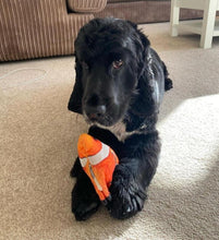 Load image into Gallery viewer, Floppy Fish Dog Toy