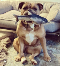 Load image into Gallery viewer, Floppy Fish Dog Toy