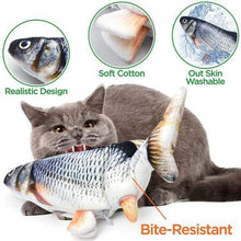 Load image into Gallery viewer, Smart Floppy Fishie Toy Floppy Fishie Toy