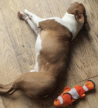 Load image into Gallery viewer, Floppy Fish Dog Toy