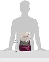 Diamond Naturals Large Breed Puppy Real Lamb Recipe Premium Dry Dog Food, 6 lb