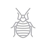 BUGGSLAYER Insecticide Ready-to-use Indoor 32-oz