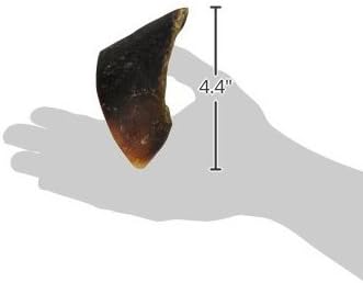 Pawstruck Peanut Butter Filled Cow Hooves for Dogs – Made in USA, Long-Lasting Dental Treats and Chews – Beef Hoof – 5 Count – Packaging May Vary