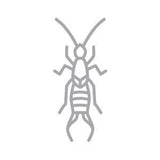 BUGGSLAYER Insecticide Ready-to-use Indoor 32-oz