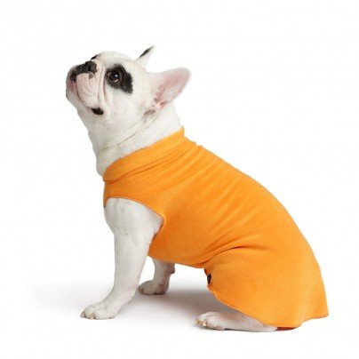 Gold Paw Series Stretch Fleece Pumpkin 18