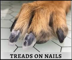 TAKTIKAL Dr. McHenry's Dog Toe Treads, Set of 24, Adhesive, Cleaning Brush, Increased Traction, Mobility Support, Large Kit- Weight: 40-60 lbs. Net Weight 1.6 oz.
