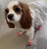 Cute Summer Dog Shoes Sweet Cherry Puppy Sandals Pet Jelly Shoes Flats, Dog Booties Paw Protector for Summer Hot Pavement (Candy Pink, #1: 1.57''x1.37''(Length*Width))
