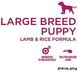 Diamond Naturals Large Breed Puppy Real Lamb Recipe Premium Dry Dog Food, 6 lb