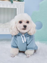 QWINEE 2Pcs Basic Dog Hoodie, Dog Warm Jacket, Cat Apparel, Dog Shirt, Dog Clothes for Puppy Kitten Small Medium Dogs Cats Pink and Green X-Large