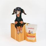 Pupford Cheese Crunchies, Premium Single-Ingredient Treat for Dogs & Puppies (Gouda, 4.25 oz)
