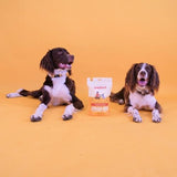 Pupford Cheese Crunchies, Premium Single-Ingredient Treat for Dogs & Puppies (Gouda, 4.25 oz)