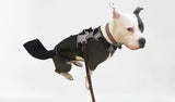 K9 TailSaver: Large Happy Tail Protector for Labrador, Golden Retrieve, Pitty, Doodles – Check Size Chart Image for FIT